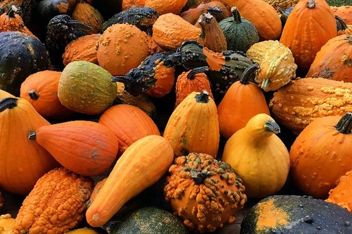 Winter Squash (1/2 Bushel, Butternut Squash)