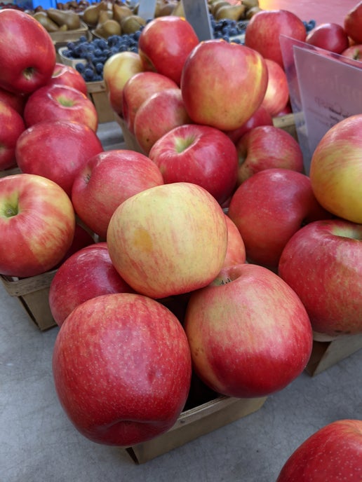 Apples - Honey Crisp